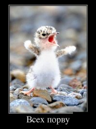 Ещё о спорах в комментах