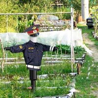 Подборка самых необычных, красивых и в то же время жутких огородных пугал современности