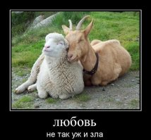 Скорее: Любовь зла и козлы этим пользуются.
Парадокс: Пара на фото явно счастлива.