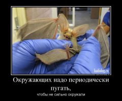 Подборка самых необычных, красивых и в то же время жутких огородных пугал современности