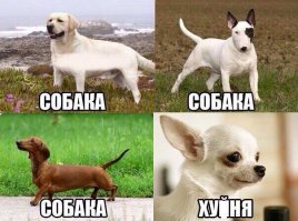 Картинки с надписями