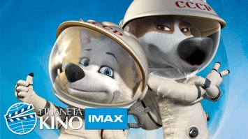 Каким должен быть правильный забор ?