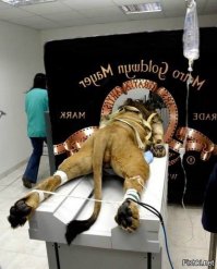 Как выглядят популярные мировые достопримечательности с другого ракурса