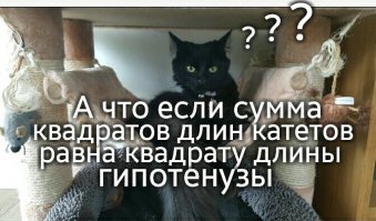 Картинки, юмор, приколы