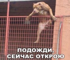 Каким должен быть правильный забор ?