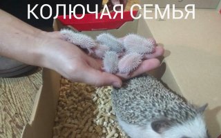 26 позитивных картинок, которые скрасят ваш рабочий день