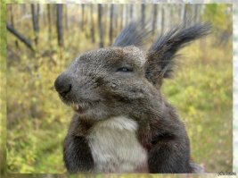Как мы сами не замечаем, в кого превратились