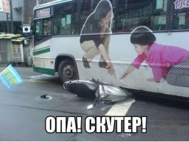 Свежая подборка автоприколов