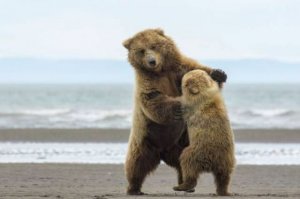 Вот что значит «Удачный ракурс»