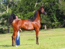 Вот что значит «Удачный ракурс»