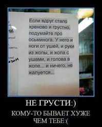 16 людей, у которых день не задался