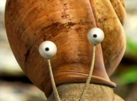 Еще не определился