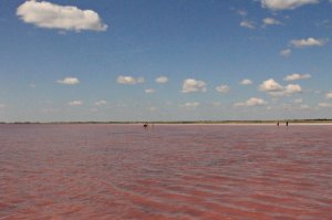 Бурсоль, Алтай