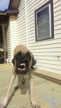 Чудеса на виражах (1фото+видео)