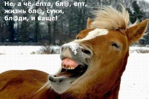 Впечатление, когда прочитал ваш комментарий: