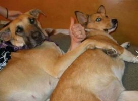 Вот что значит «Удачный ракурс»