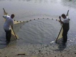 Сколько денег ежемесячно извлекают из фонтанов ВДНХ?