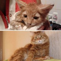 мой рыжанька)) Фотки с разницей в 3 года))