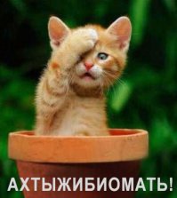 Ну дайте им уже пожалуйста ссылочку на этот пост, пусть овцы прекратят покупать в интернет то что не надо там покупать.