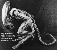 Был как-то полёт