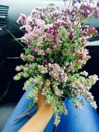 Еще немного фото с дороги от Кисловодска до смотровой площадки на Эльбрус. Нашла в телефоне. Теперь уже в пост не добавишь..
