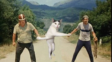 Самая противоречивая кошка насмешила Сеть