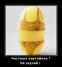 Чем занимаются люди, которые попробовали в жизни уже всё