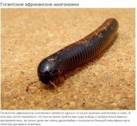 Гифки дня