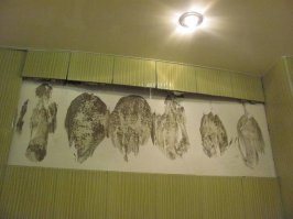 а это что кто-то птицами в стену кидался? энгри бёрдс типо?