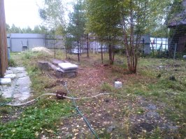 Вот мой участок? что порекомендуешь косу или мотокосу?