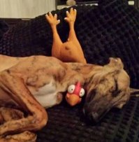 Смешные картинки из соц.сетей