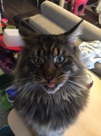 У меня такой живет;)