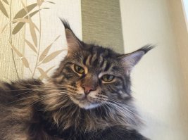 Еще нашел фото! Снизу Миша, наверху Ксения