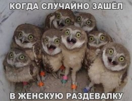 Смешные картинки из соц.сетей