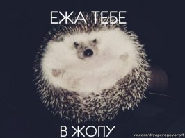 Парень, потративший $ 60 000, чтобы сделать 'идеальную задницу'