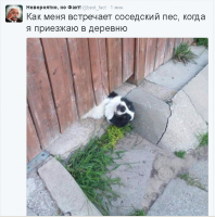 Сэр, не хотите ли зайти? :)