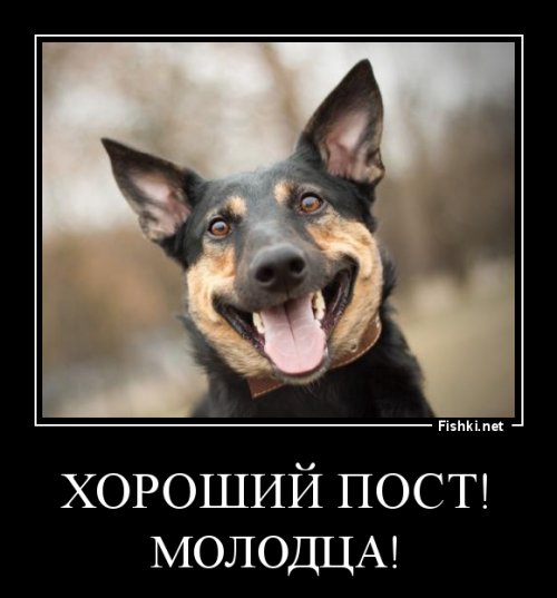 комочек счастья