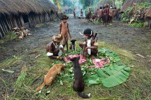 продолжение фото ...........