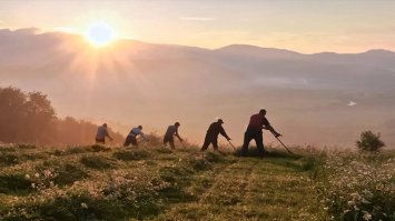 Да, офисному планктону это вряд ли под силу. А в глубинке не сотками, гектарами косят, и не жалуются)