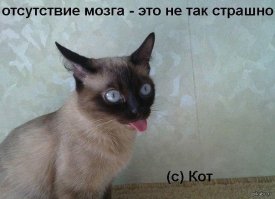 Аллигатор едва не оторвал руку женщине из Флориды