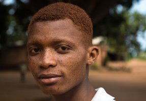 Полезный жук. Строительная история №45