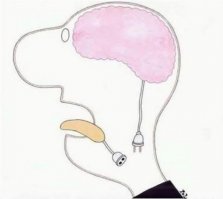 18 разрезанных пополам вещей