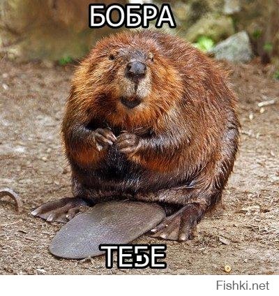 Умничка!