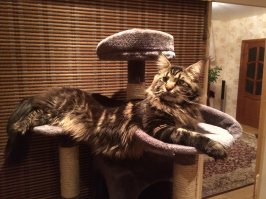 Любимое место отдыха