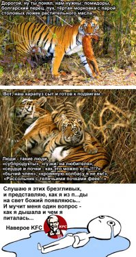 Вы думаете, это нельзя есть? Вы просто не умеете это готовить!