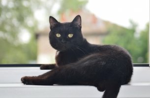Флэш на моего Семена похож