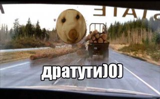 Бревно с лесовоза попало в лобовое окно маршрутки