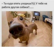 Смешные картинки из соц.сетей