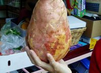 Фотоподборка за 17.08.2016