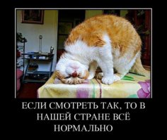 Солянка для Майдана. Часть 163